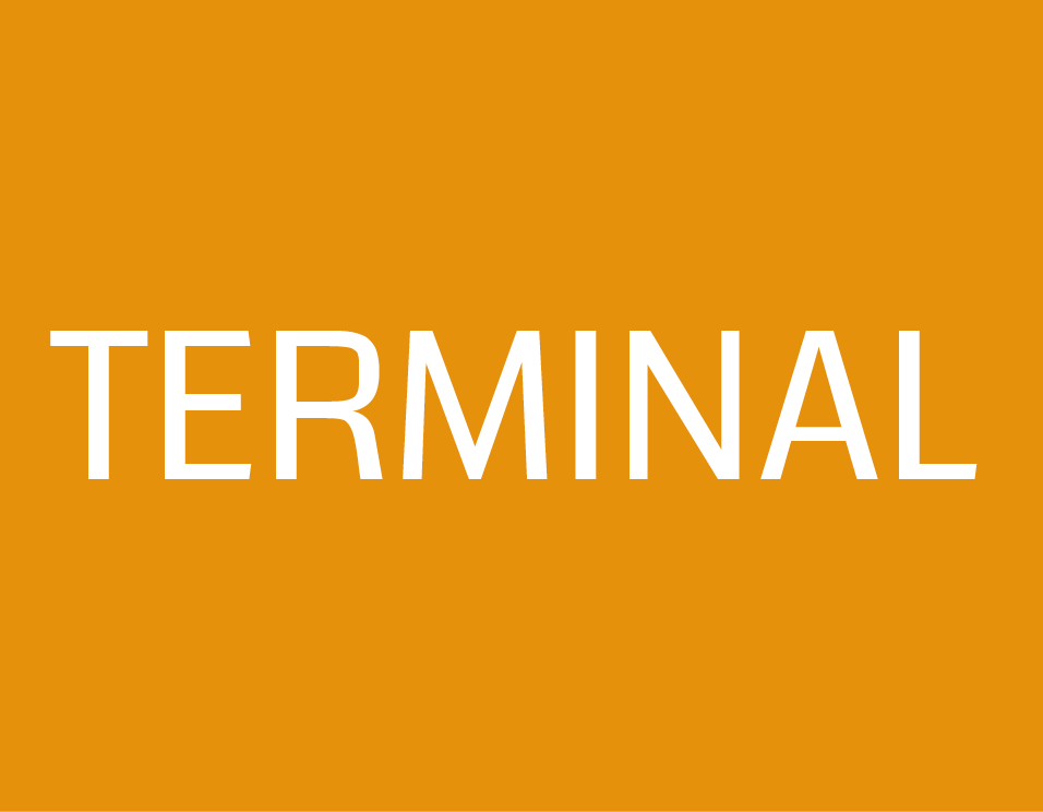 logo terminal