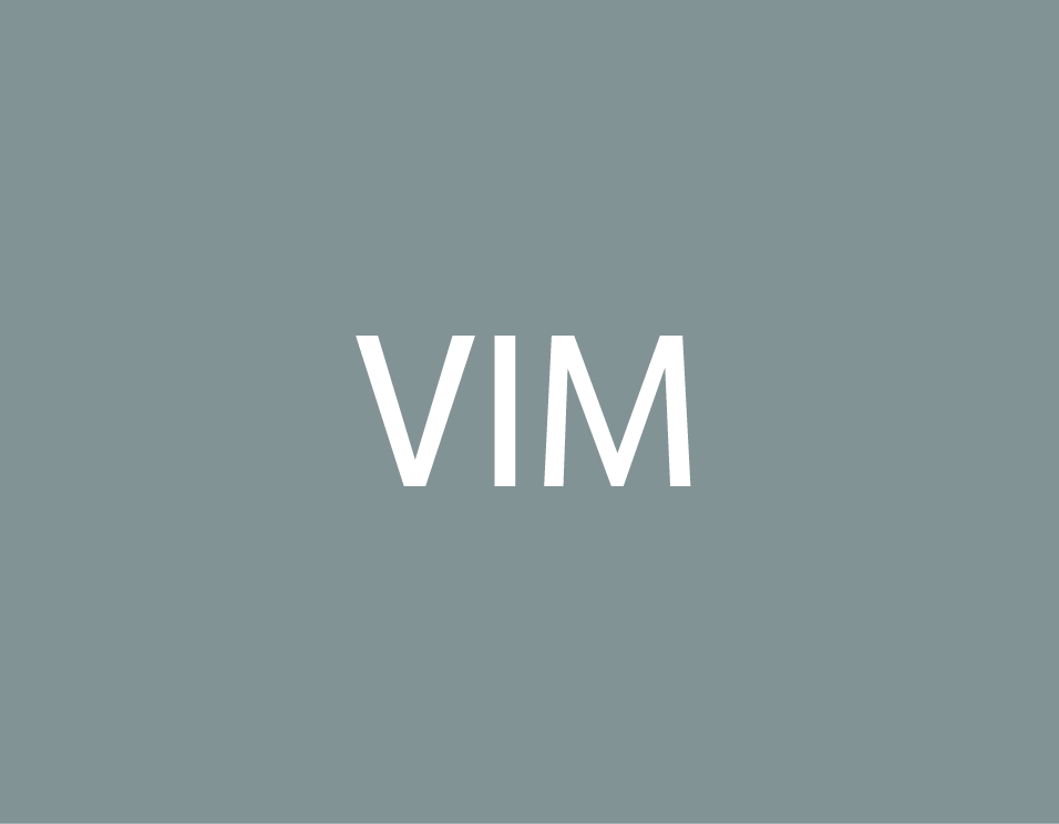 logo vim